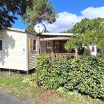 558091313_10234466319658226_4857710153956386970_n